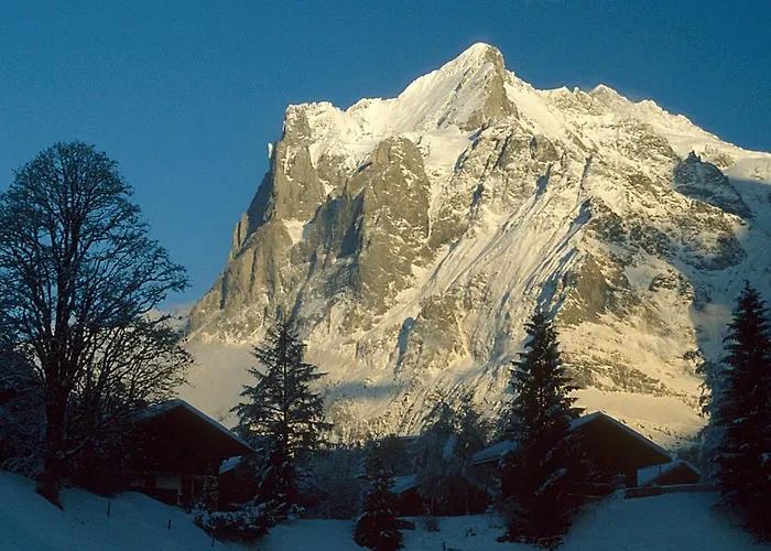 Pfaffenstoeckli Appartamento