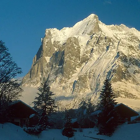 Pfaffenstoeckli Apartament